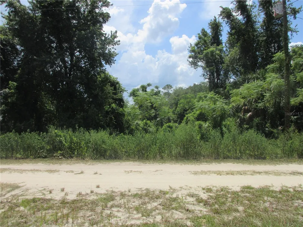 TBD SE 18TH STREET Silver Springs, FL 34488