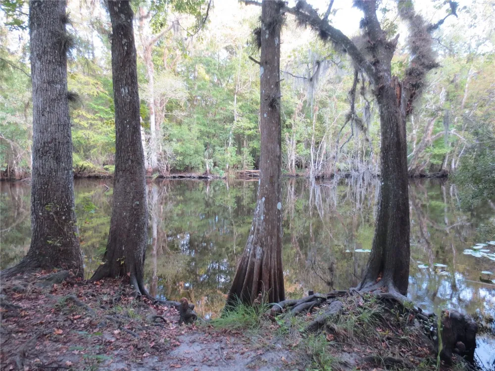TBD SE 18TH STREET Silver Springs, FL 34488