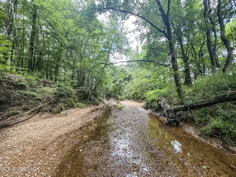 Pine Lodge Road Road