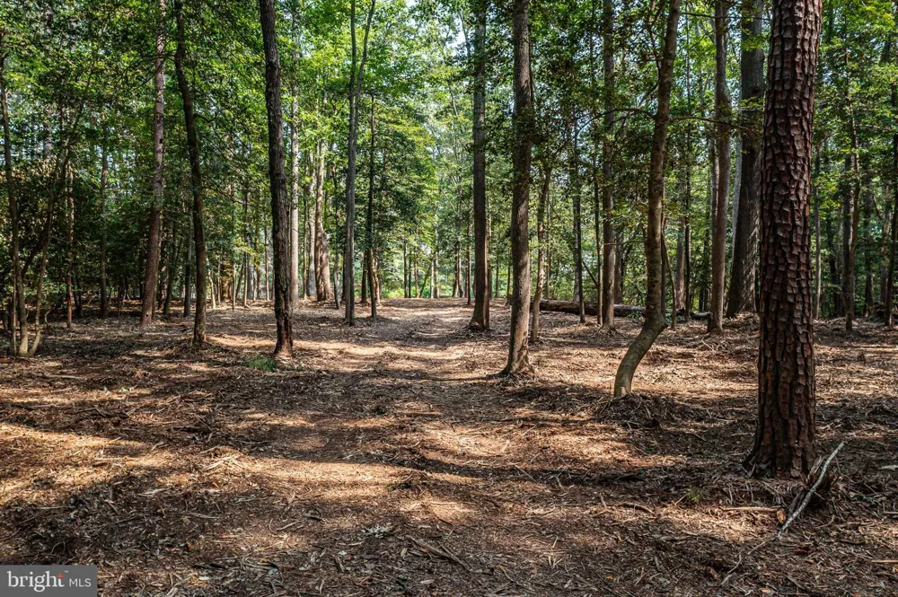 HOLLY HARBOR Reedville, VA 22539
