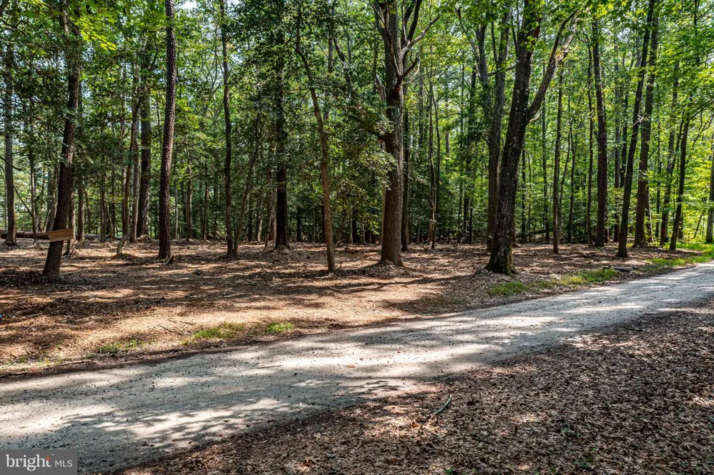 HOLLY HARBOR Reedville, VA 22539