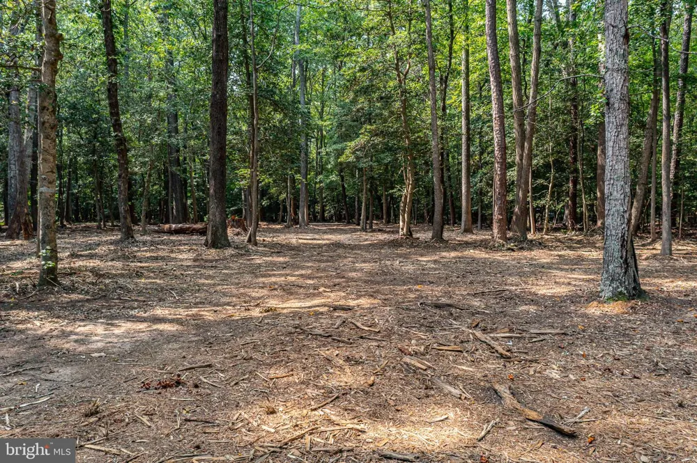 HOLLY HARBOR Reedville, VA 22539