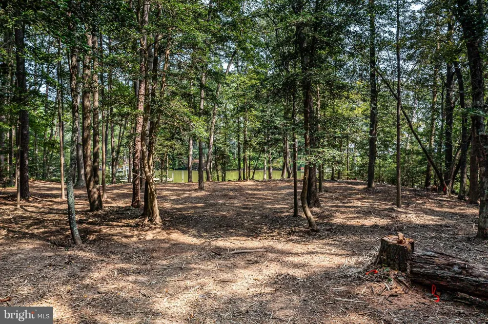 HOLLY HARBOR Reedville, VA 22539