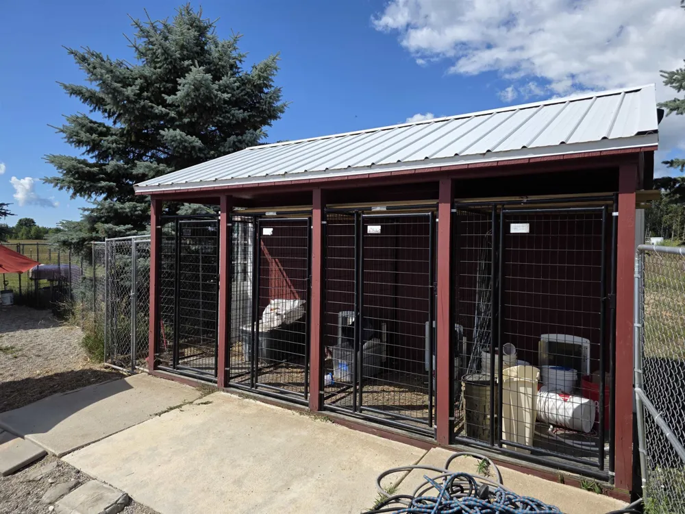 6154 Satterly Lake Road Mancelona Township, MI 49659