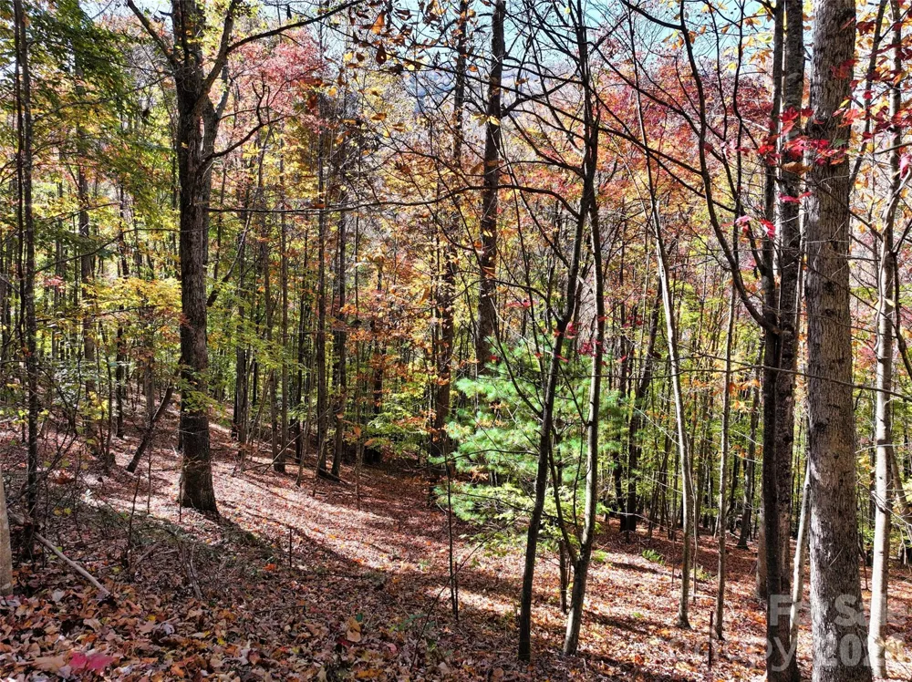 829 Stoney Stream Lane Arden, NC 28704