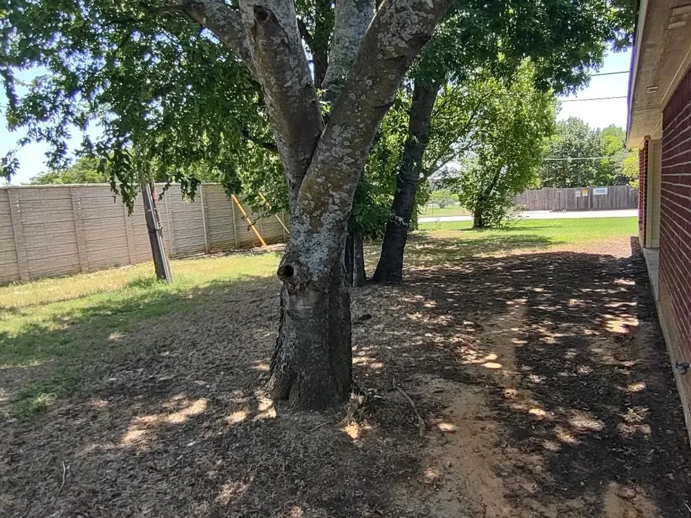 500 Fort Worth Street Mansfield, TX 76063