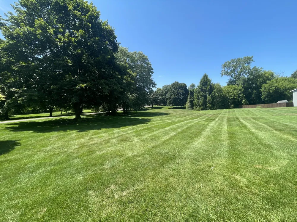 8335 Byron Garden Drive SW Byron Center, MI 49315