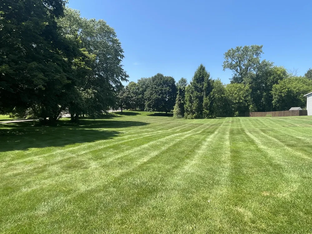 8335 Byron Garden Drive SW Byron Center, MI 49315