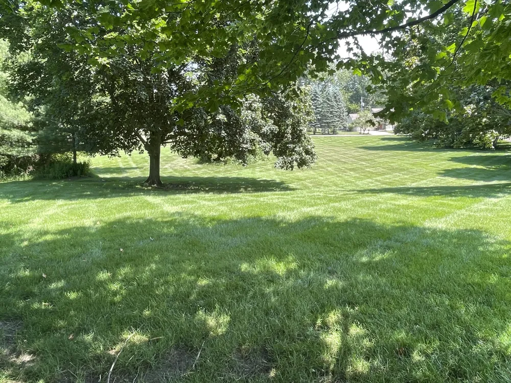 8335 Byron Garden Drive SW Byron Center, MI 49315