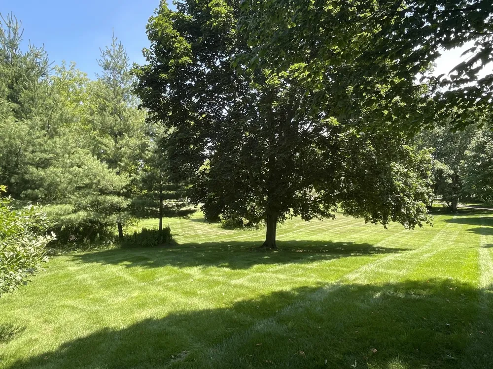 8335 Byron Garden Drive SW Byron Center, MI 49315