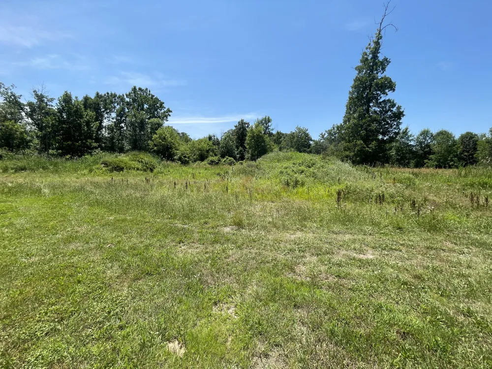 8335 Byron Garden Drive SW Byron Center, MI 49315