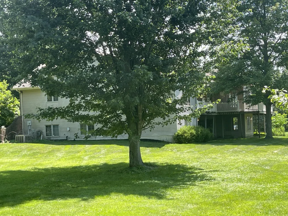 8335 Byron Garden Drive SW Byron Center, MI 49315