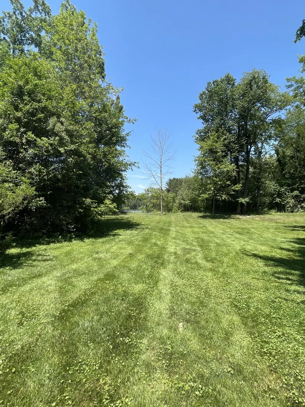 8335 Byron Garden Drive SW Byron Center, MI 49315
