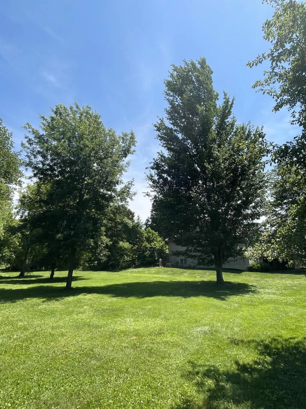 8335 Byron Garden Drive SW Byron Center, MI 49315