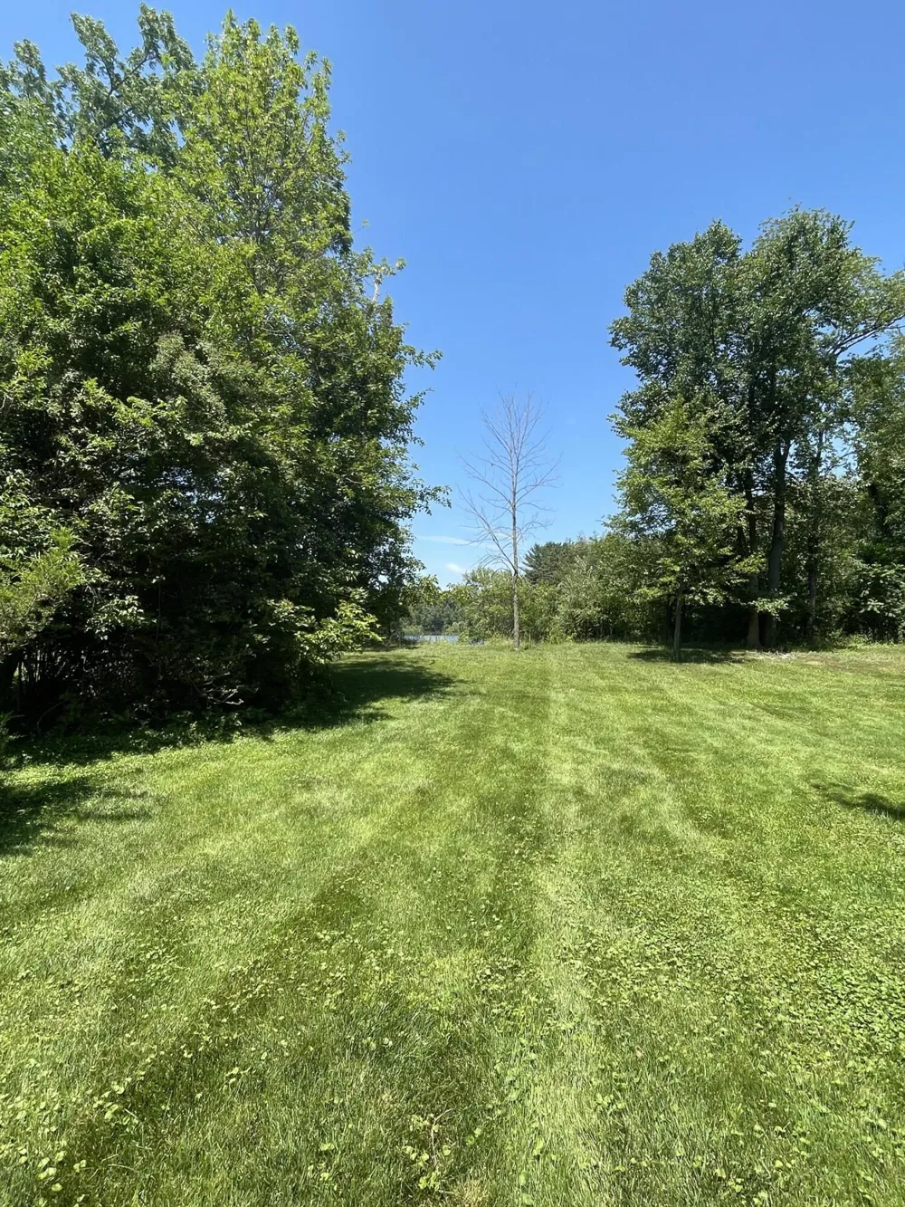 8335 Byron Garden Drive SW Byron Center, MI 49315