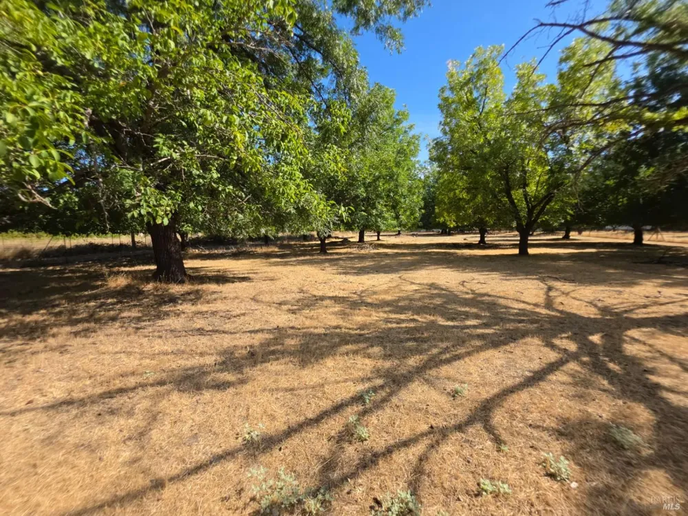 23175 Biggar Lane Covelo, CA 95428