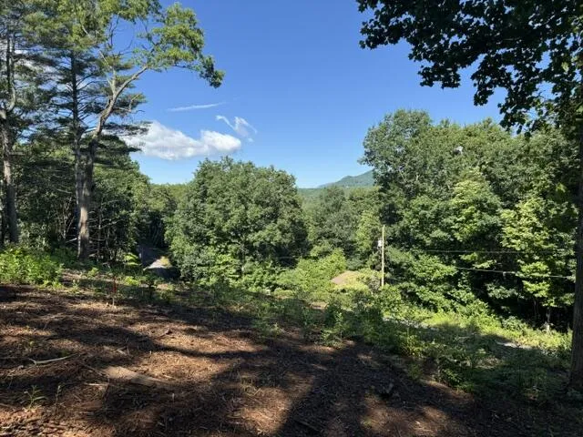 Kingwood Cir Franklin, NC 28734