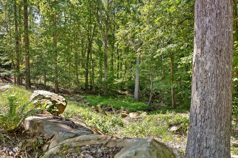 Maple Leaf Trail Lookout Mountain, GA 30750
