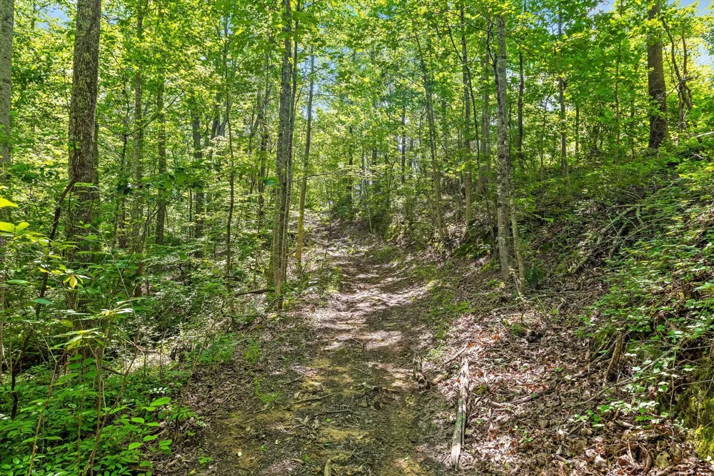 Maple Leaf Trail Lookout Mountain, GA 30750