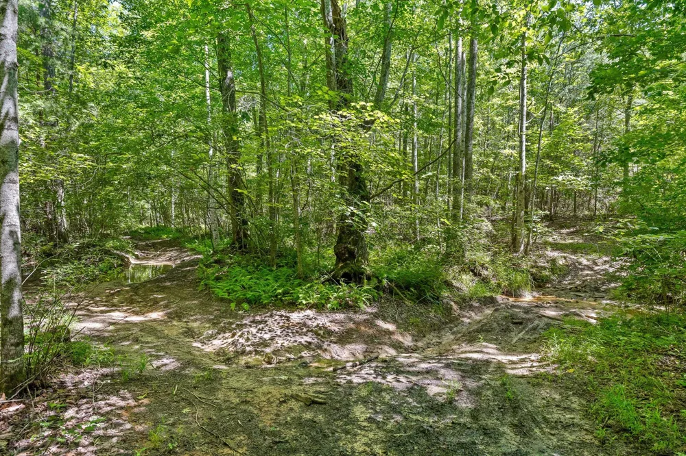Maple Leaf Trail Lookout Mountain, GA 30750