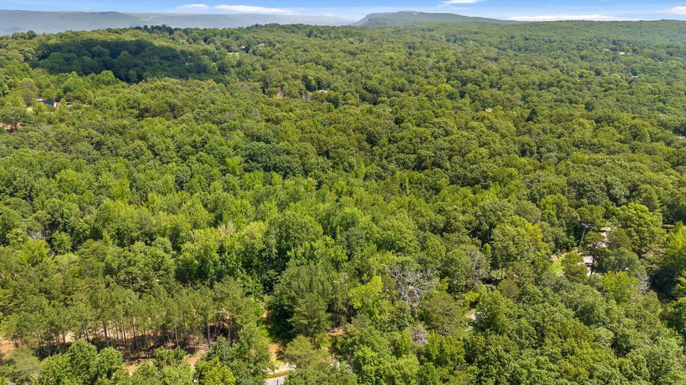 Maple Leaf Trail Lookout Mountain, GA 30750