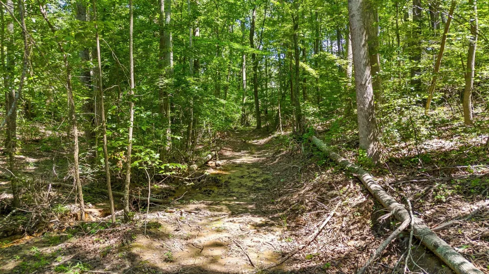 Maple Leaf Trail Lookout Mountain, GA 30750