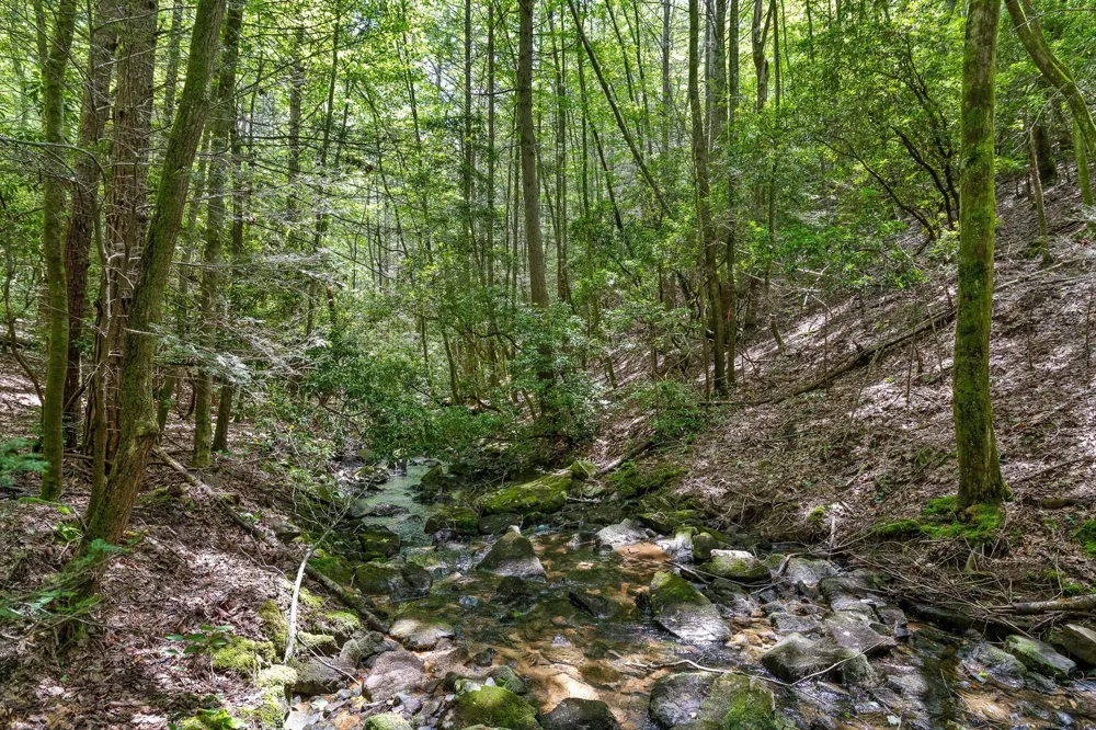 Maple Leaf Trail Lookout Mountain, GA 30750