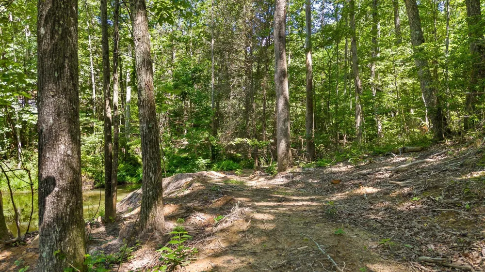 Maple Leaf Trail Lookout Mountain, GA 30750