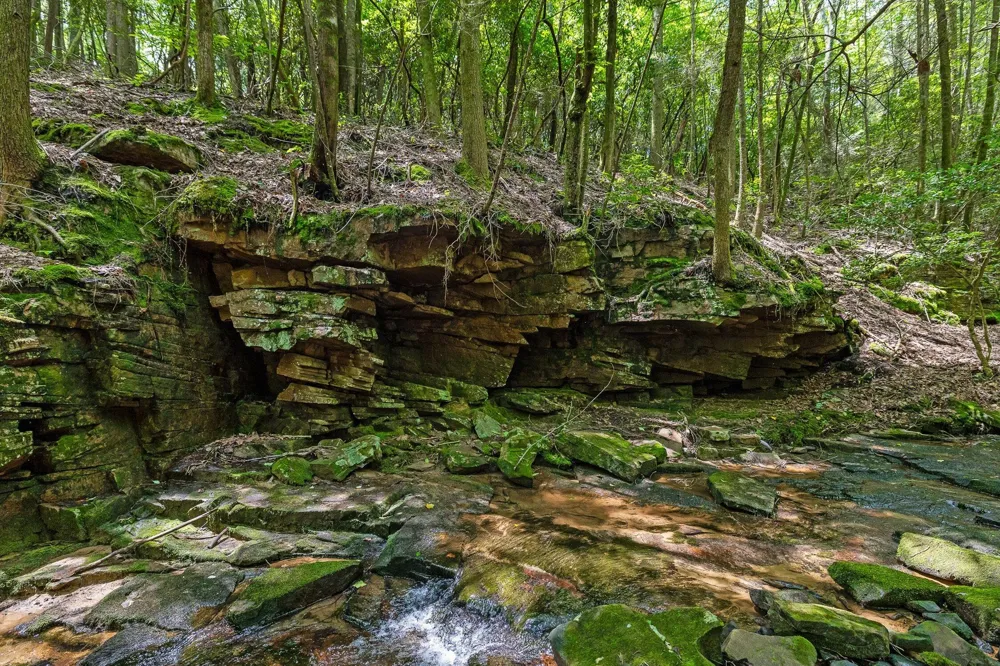 Maple Leaf Trail Lookout Mountain, GA 30750