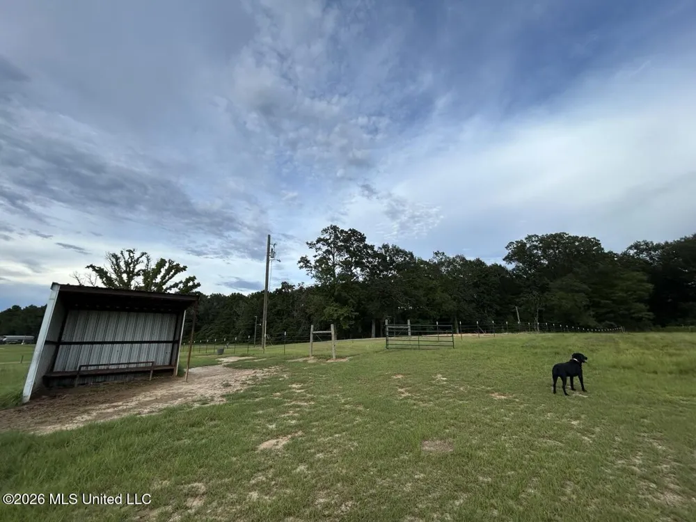 8066 Old Highway 24 Centreville, MS 39631