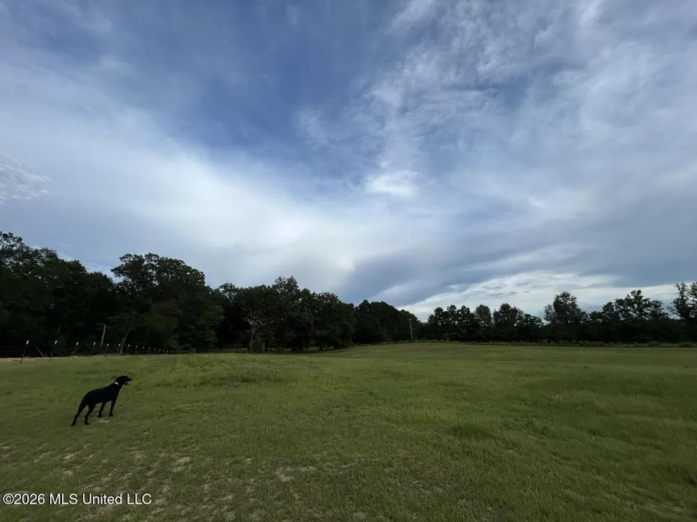 8066 Old Highway 24 Centreville, MS 39631