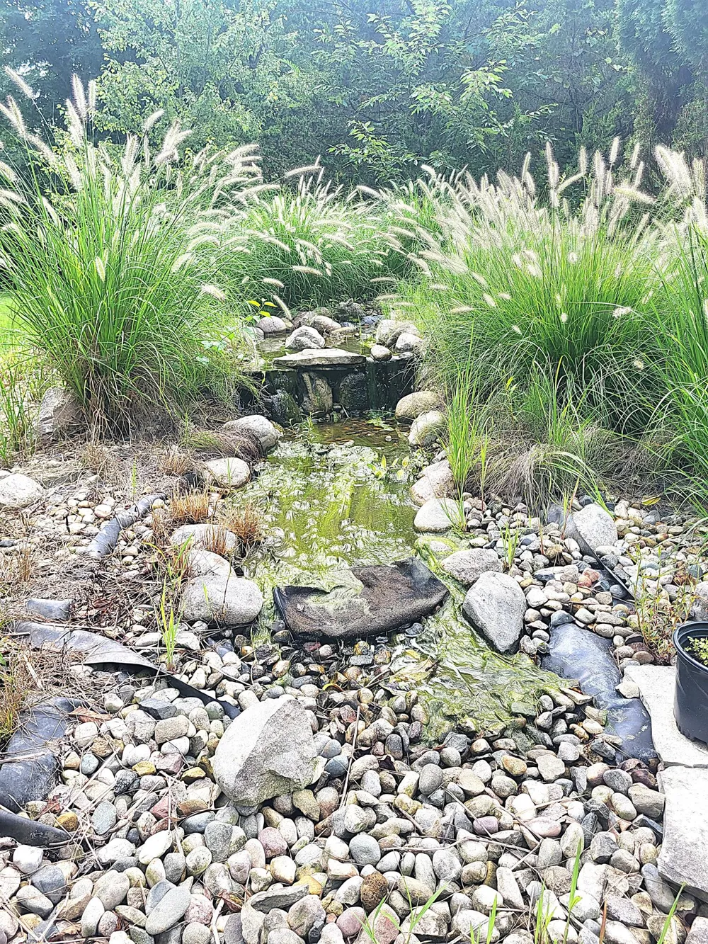 4240 Snow Road Lake Charter Township, MI 49106