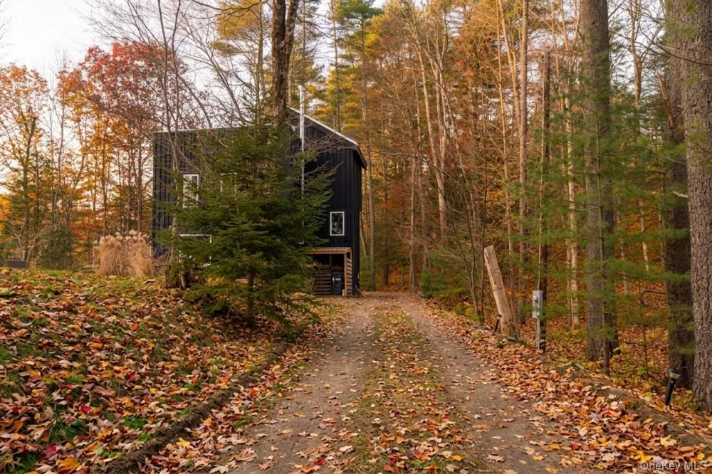 15 Lake View Drive Woodstock, NY 12448