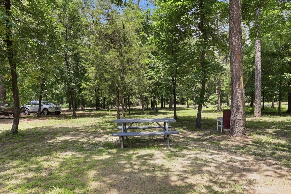 733 King Arthur Ct Scroggins, TX 75480