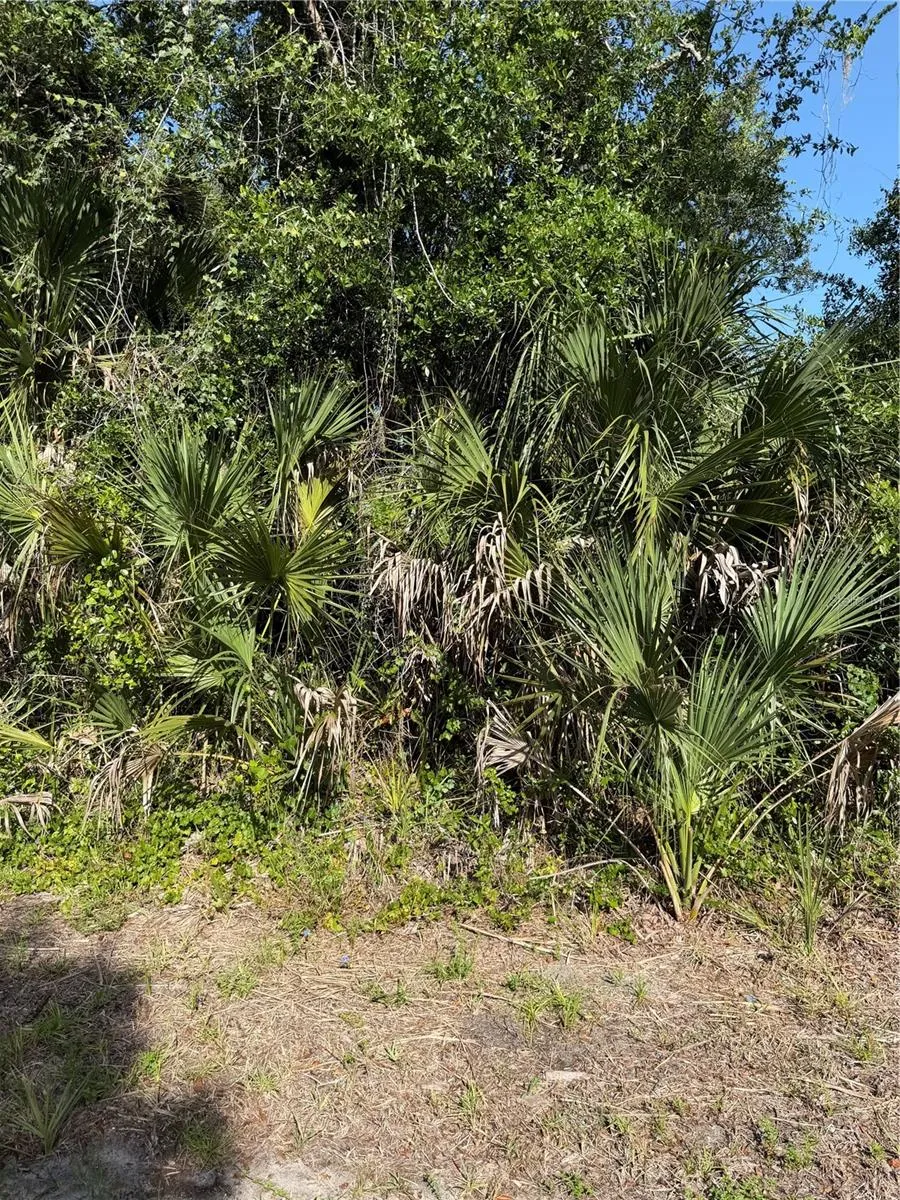 1137 WELDON TER Port Charlotte, FL 33953