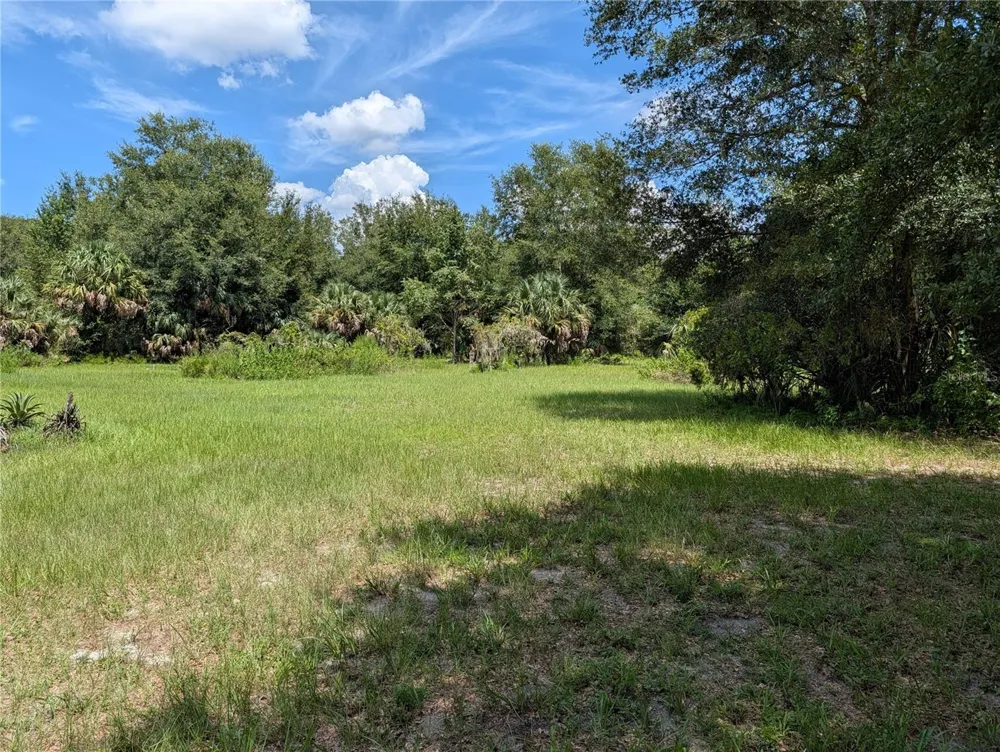 876 SHAW LAKE ROAD Pierson, FL 32180