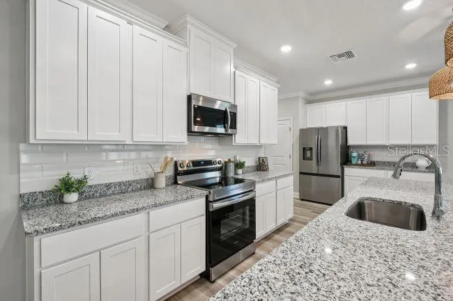 3395 MONARCH WAY Green Cove Springs, FL 32043