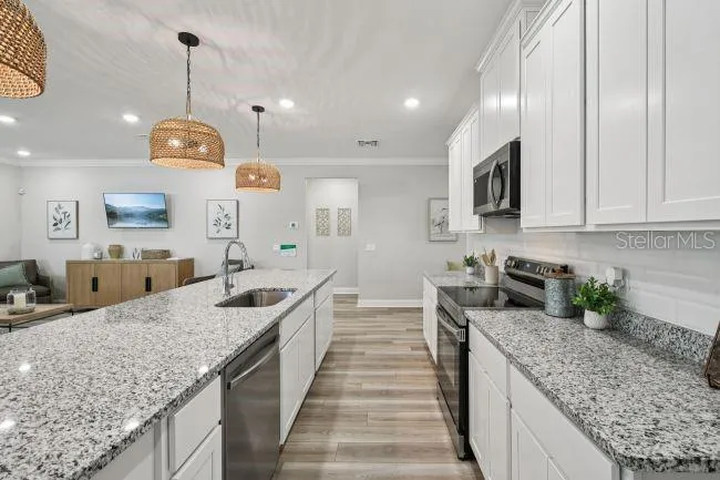 3395 MONARCH WAY Green Cove Springs, FL 32043