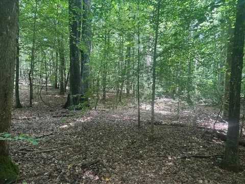 111 RiverSong (Tract 26)