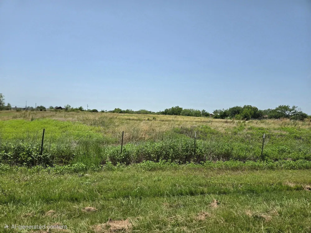 High Point Road Terrell, TX 75160