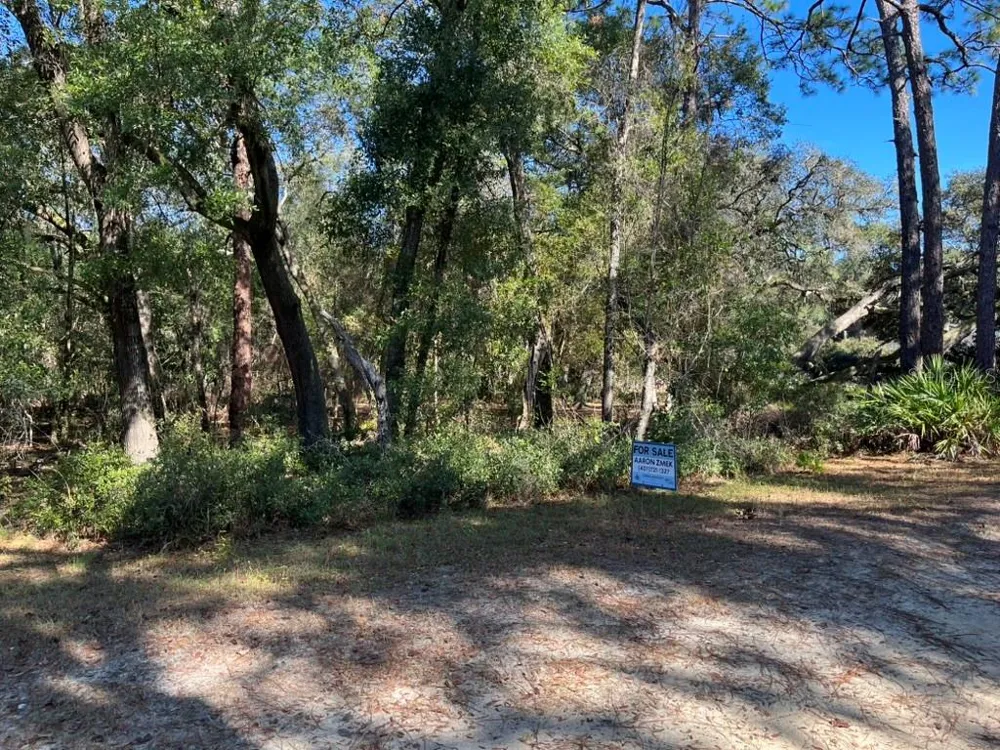 NORTH ROAD Altoona, FL 32702