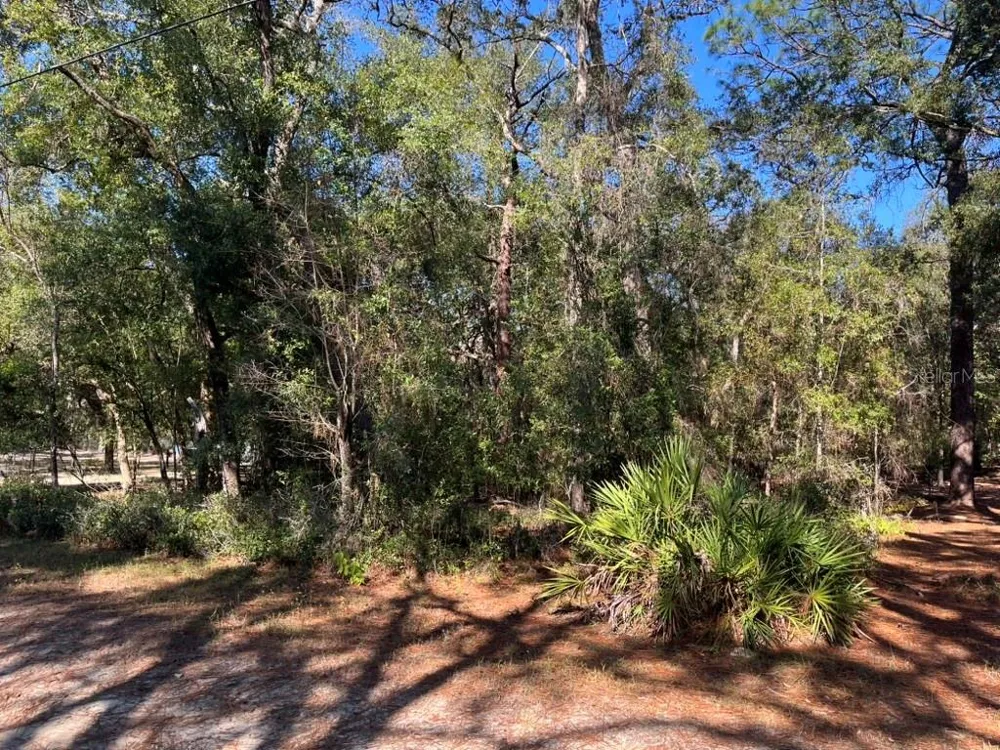NORTH ROAD Altoona, FL 32702