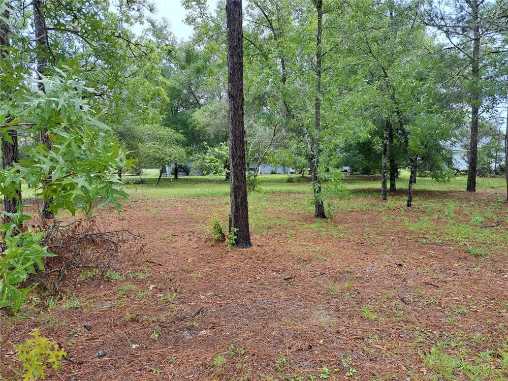 2692 W HAMLET PLACE Dunnellon, FL 34433
