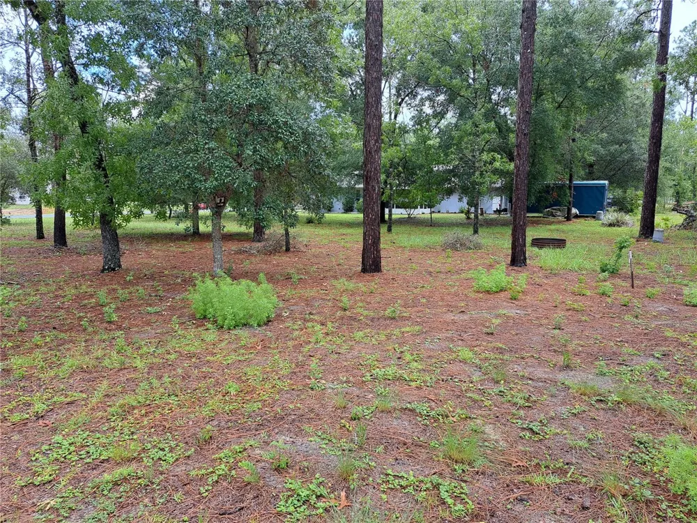 2692 W HAMLET PLACE Dunnellon, FL 34433