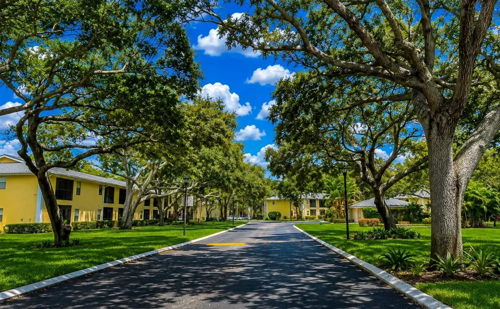 3001 58TH AVENUE S #1014 St Petersburg, FL 33712