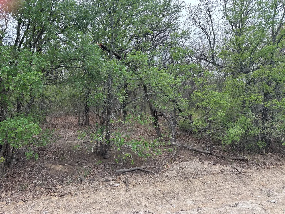 Martins Lane Runaway Bay, TX 76426