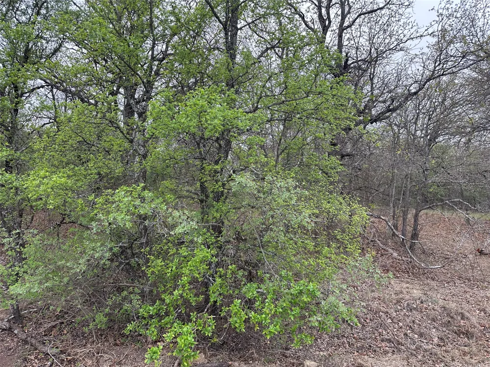 Martins Lane Runaway Bay, TX 76426