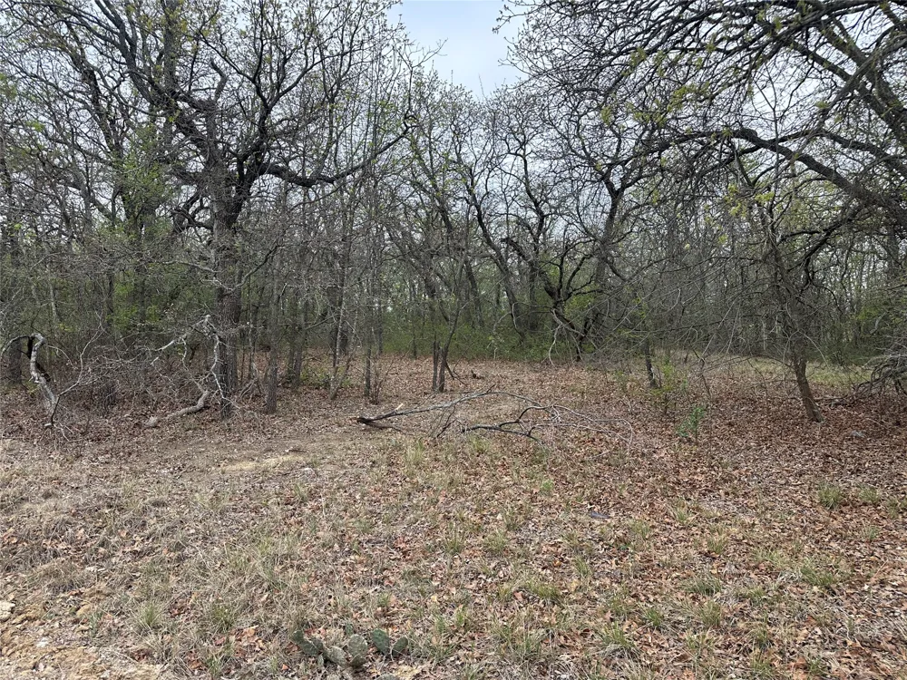 Martins Lane Runaway Bay, TX 76426