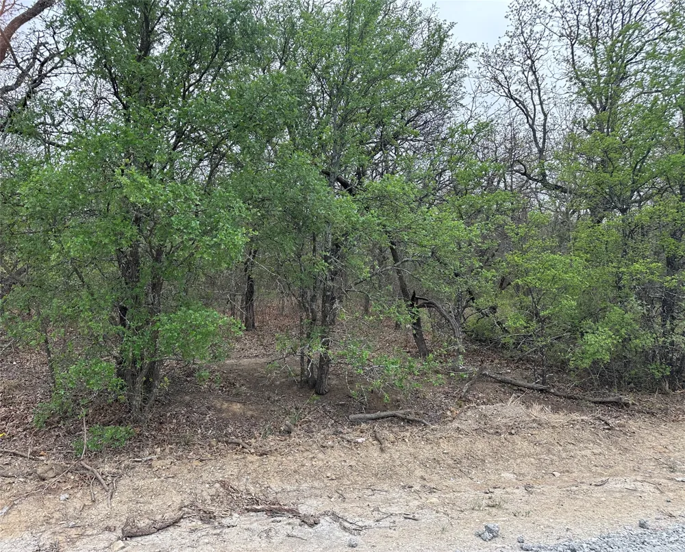 Martins Lane Runaway Bay, TX 76426