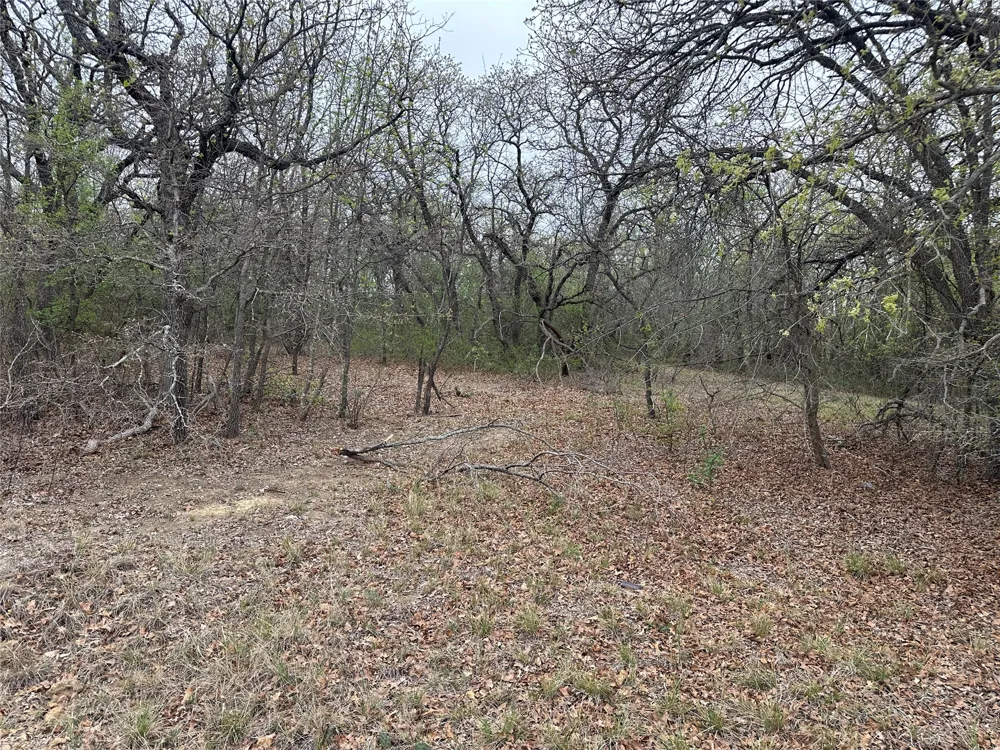 Martins Lane Runaway Bay, TX 76426